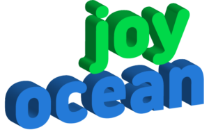 joyocean.com